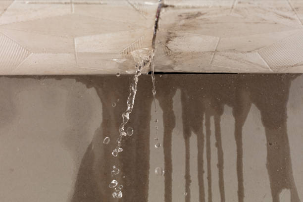 Professional Structural Drying technician working in Belmont, MS